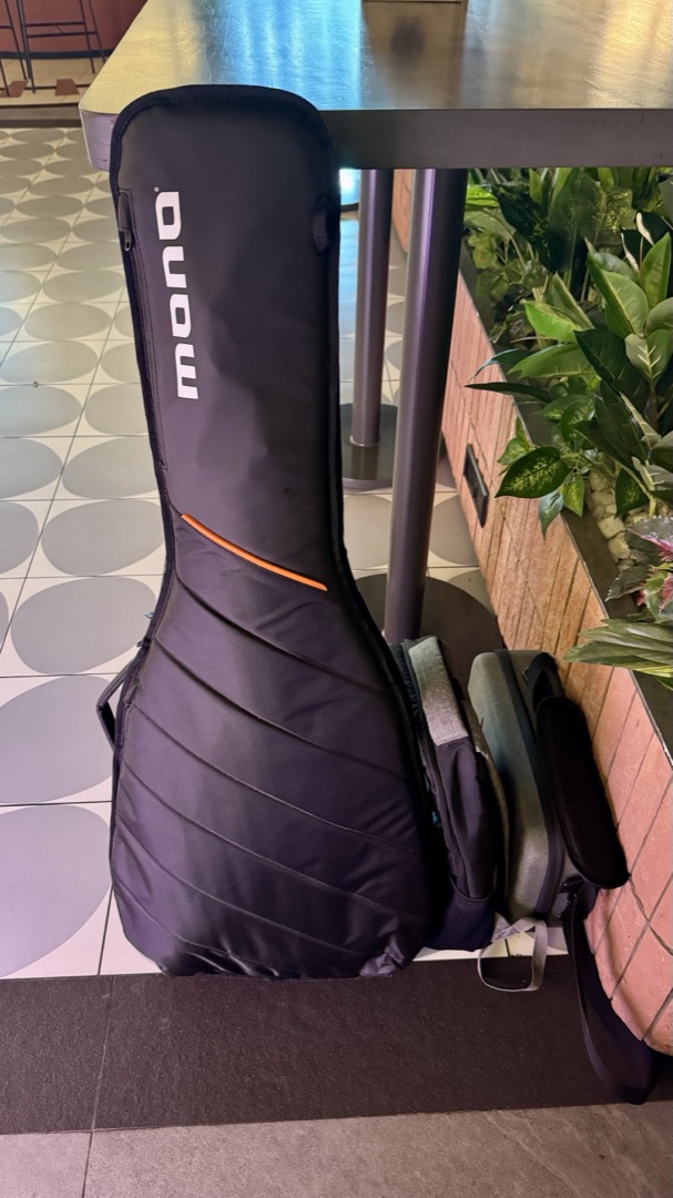 MONO Guitar Cases